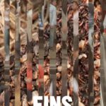 EINS