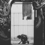 Tetsuo: The Iron Man