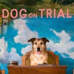 Dog on Trial