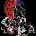 Björk: Cornucopia