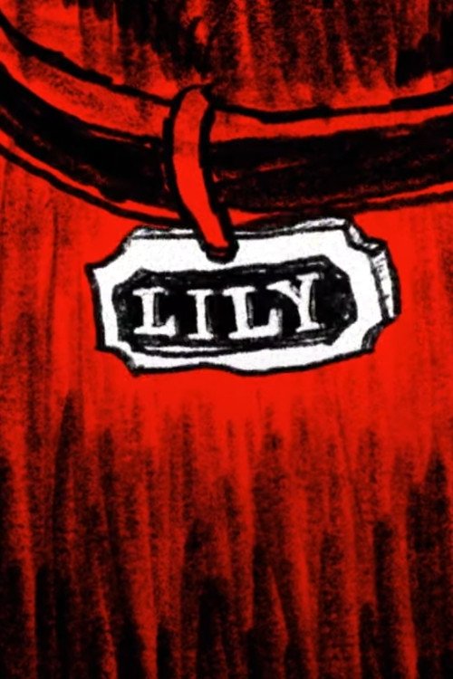 Lily Lily