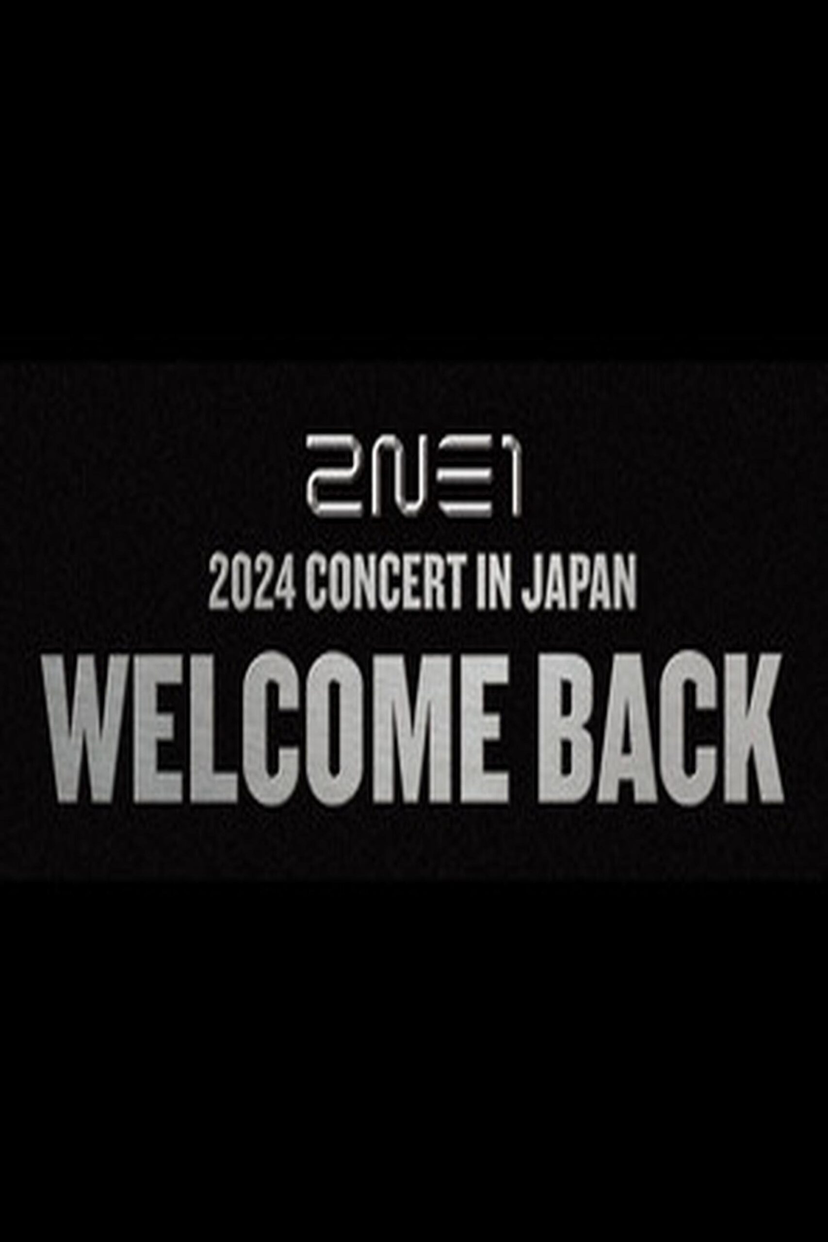 2NE1 – Welcome Back Tour