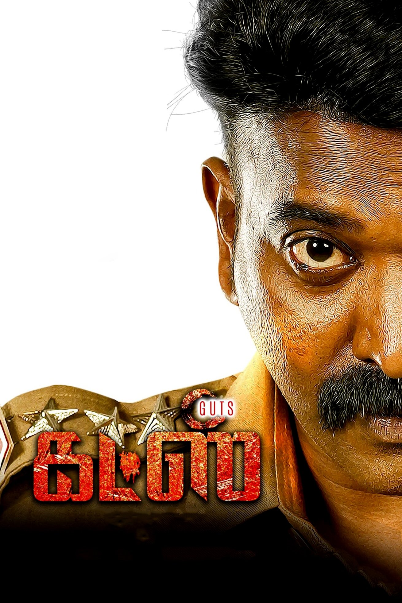 கட்ஸ் கட்ஸ்