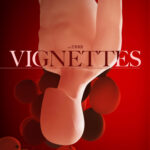 Vignettes