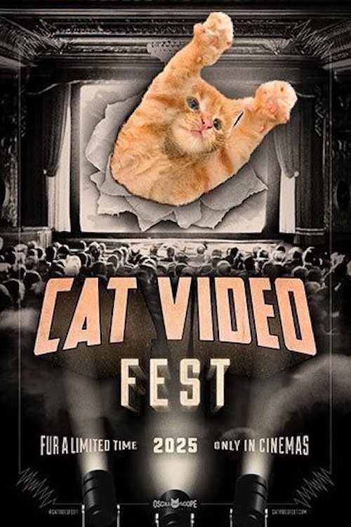 CatVideoFest 2025 CatVideoFest 2025