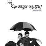 ఔను-వాళ్ళిద్దరూ ఇష్టపడ్డారు!