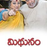 మిధునం